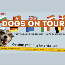 Travelling in Europe with your dog