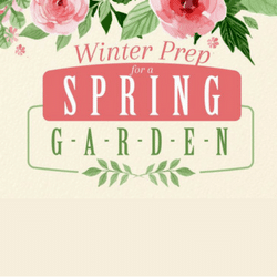 Preparing your garden for Spring